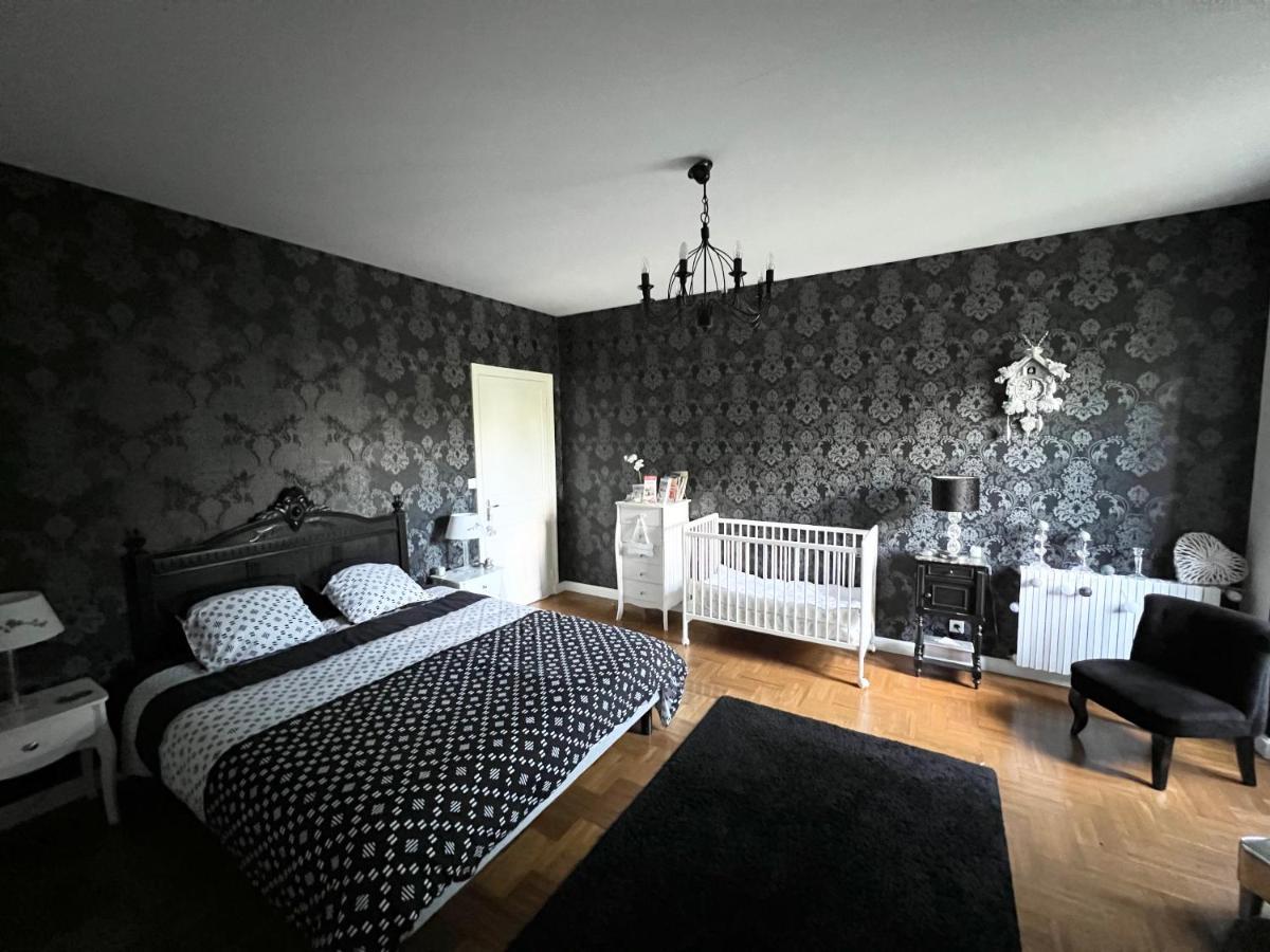 Chambres D'Hotes Dans Maison De Maitre Chaniers Esterno foto